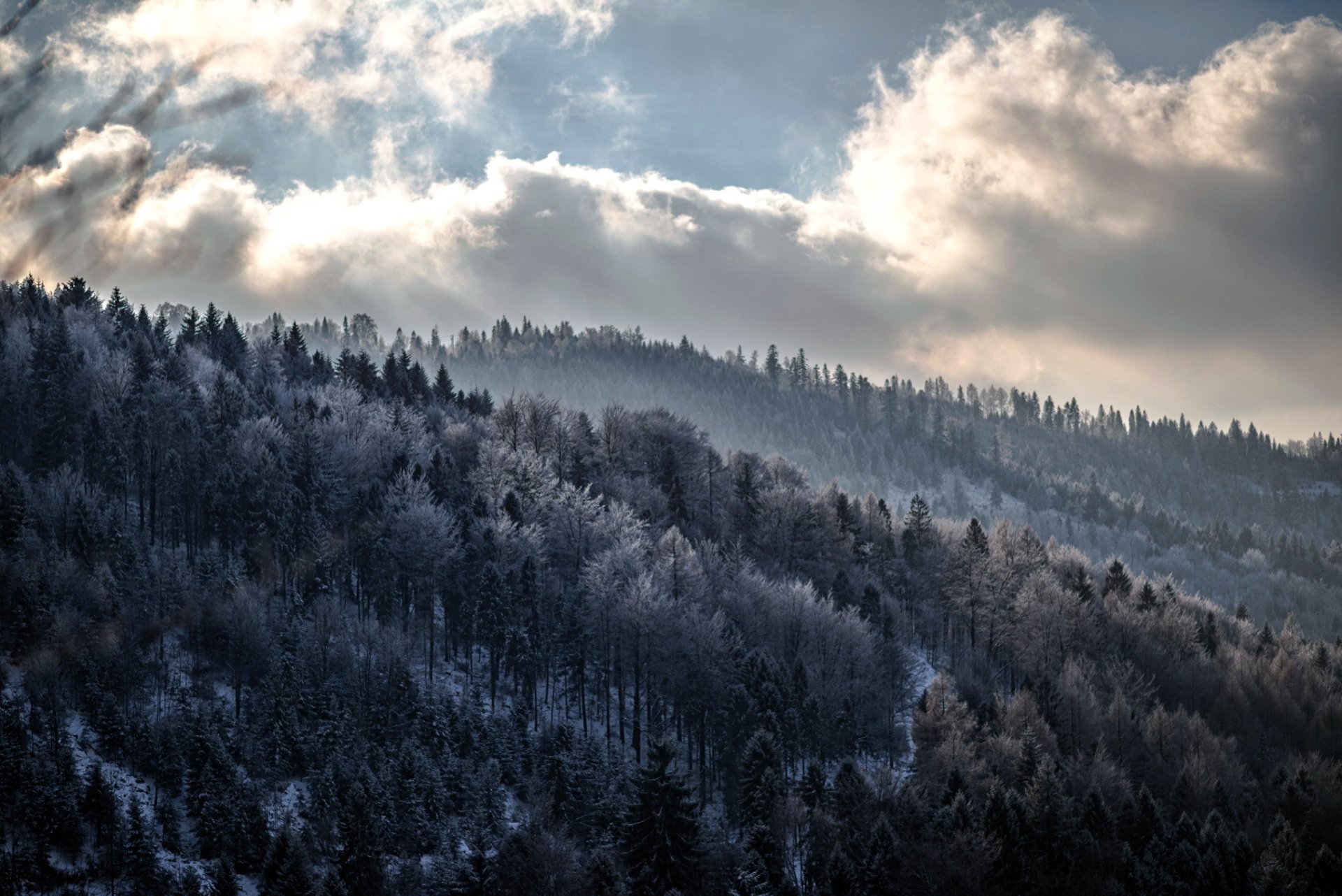 Download Cloud Landscape Nature Forest HD Wallpaper