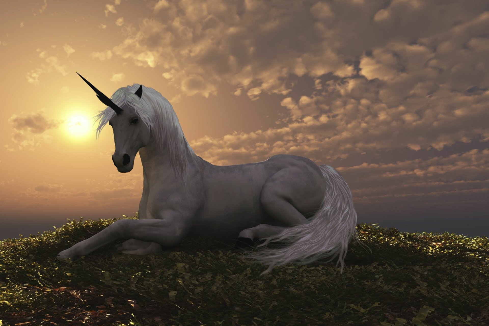 Download Fantasy Unicorn  HD Wallpaper