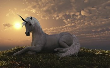 75 Unicorn Hd Wallpapers Background Images Wallpaper Abyss