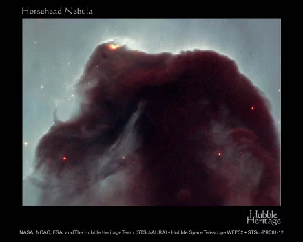 2K Quad HD PC desktop wallpaper: Sci-Fi Horsehead Nebula—dark horsehead silhouette against glowing nebular gas with scattered red stars in deep space.