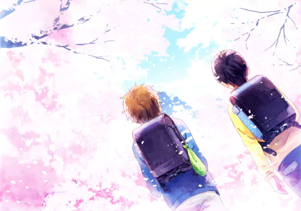 Two characters, Makoto Tachibana and Haruka Nanase from the anime Free!, stand beneath a blooming cherry blossom tree, surrounded by soft pink petals and a bright blue sky.