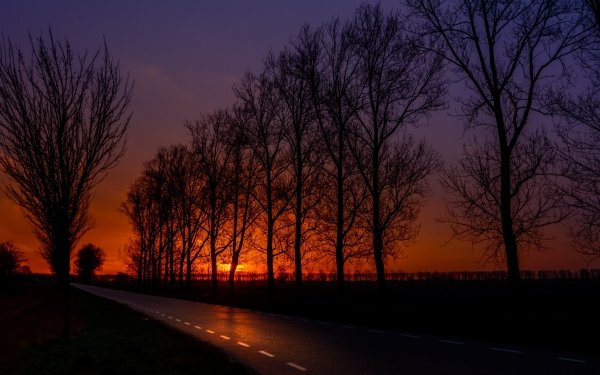 Photography Sunset Earth Tree Road Silhouette Sky HD Wallpaper | Background Image
