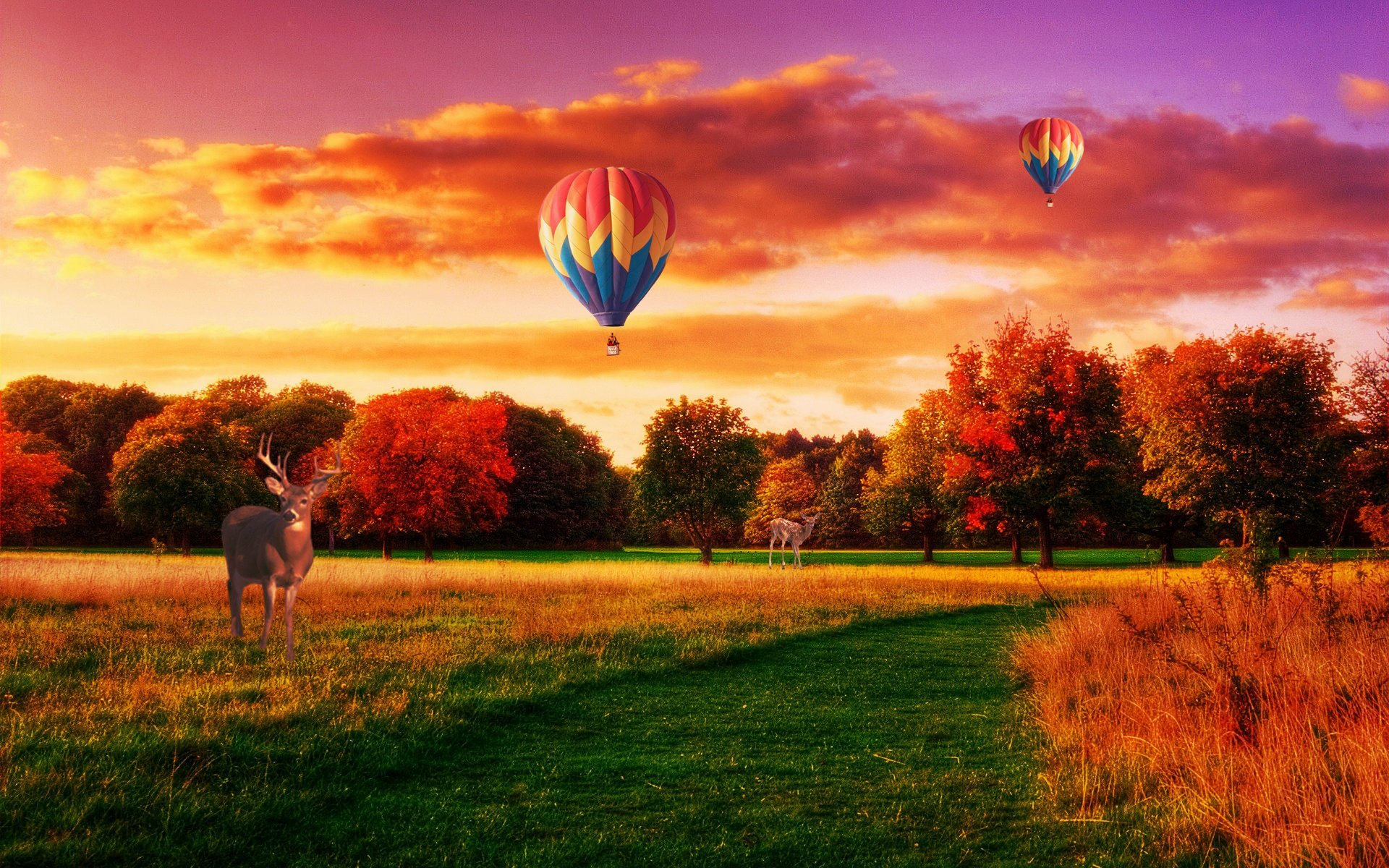 A vibrant HD desktop wallpaper captures an artistic sunset over a field with a buck near trees and colorful hot air balloons drifting across the sky in nature’s warm glow.
