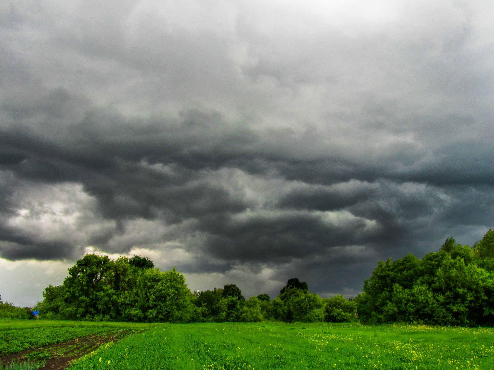 4K Ultra HD PC desktop wallpaper of dramatic storm clouds sweeping over a vivid green field and tree line — nature, cloud.