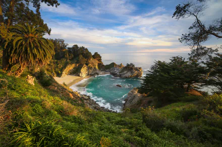  Julia Pfeiffer Burns State Park by Joe Parks