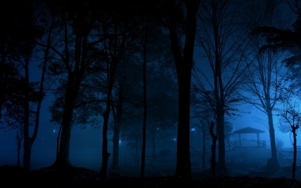 Photography Park Earth Forest Night Tree Blue Dark HD Wallpaper | Background Image