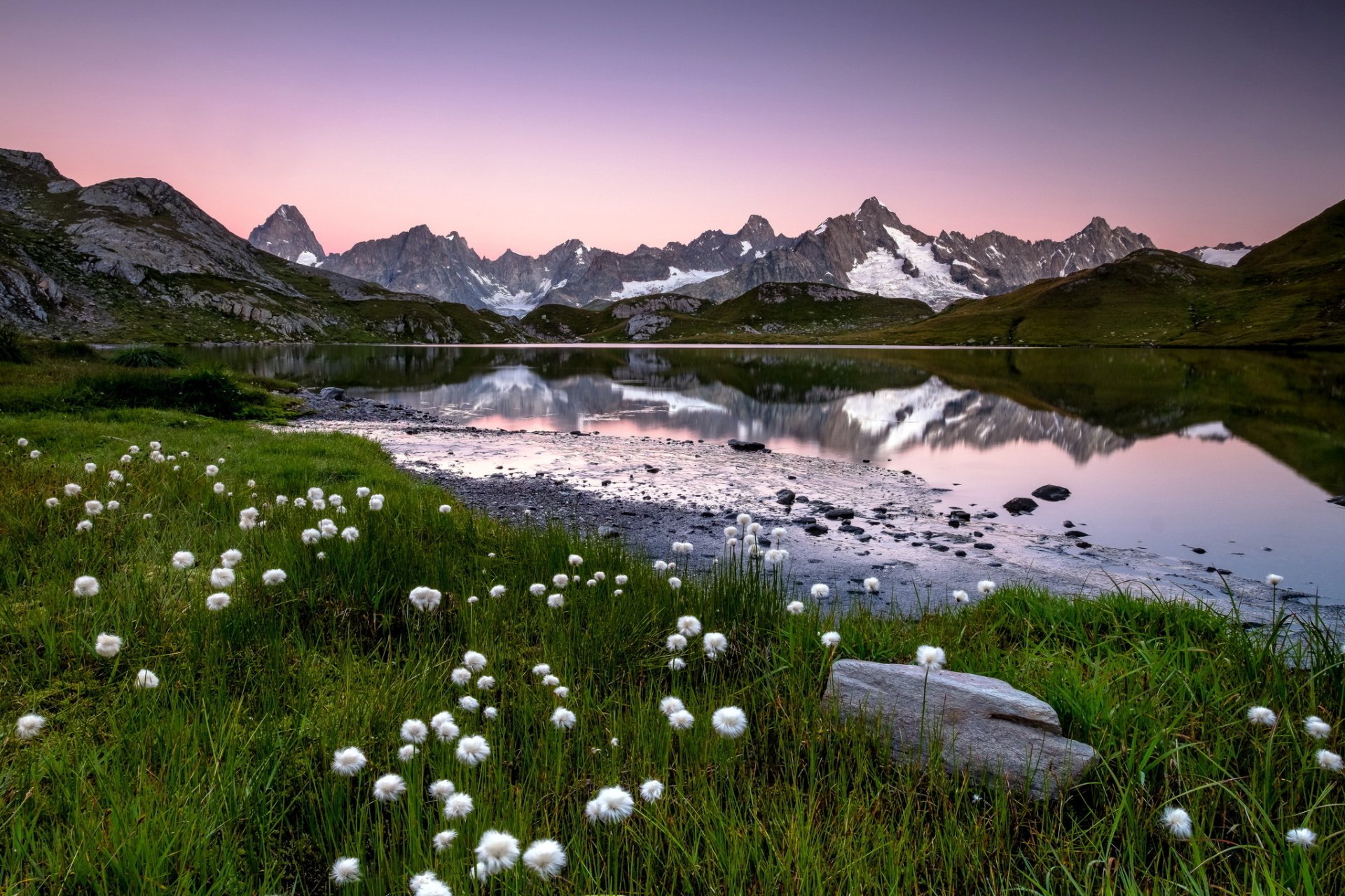 HD desktop wallpaper of a serene mountain landscape featuring a calm lake reflecting snowy peaks, lush green grass, and white wildflowers under a soft twilight sky.