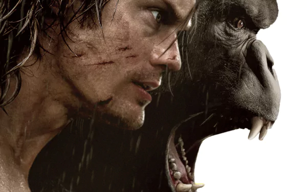 Tarzan Alexander Skarsgård movie The Legend of Tarzan HD Desktop Wallpaper | Background Image