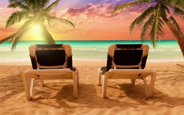 Photography Beach Tropical Palm Tree Ocean Sunset Horizon Sand HD Wallpaper | Background Image