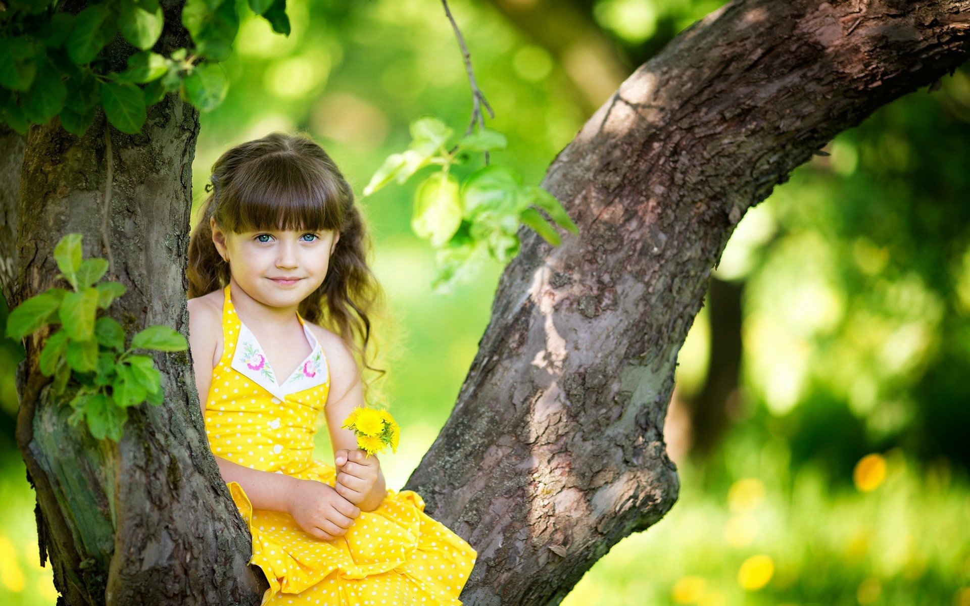 Wallpapers ID:732527