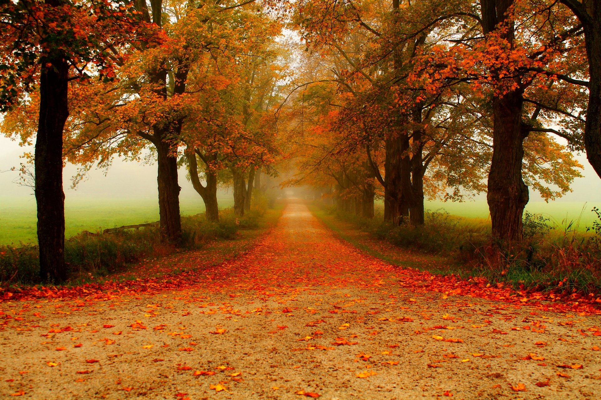 Autumn Path Landscapes