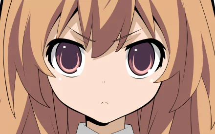 Taiga Aisaka Anime Toradora! HD Desktop Wallpaper | Background Image