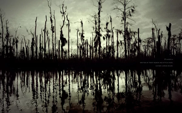 A dark, moody landscape featuring skeletal trees reflecting in still water, serving as a striking HD desktop wallpaper inspired by Nine Inch Nails' aesthetic.