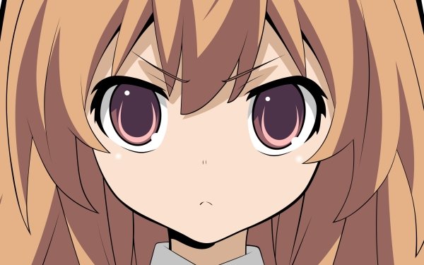 Anime Toradora! Taiga Aisaka HD Wallpaper | Background Image