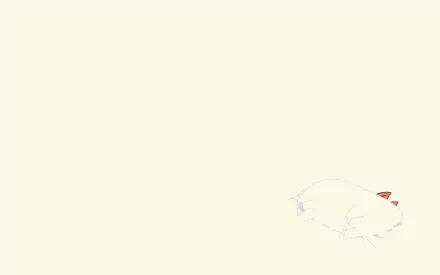 Sakamoto (Nichijō) Anime Nichijō HD Desktop Wallpaper | Background Image