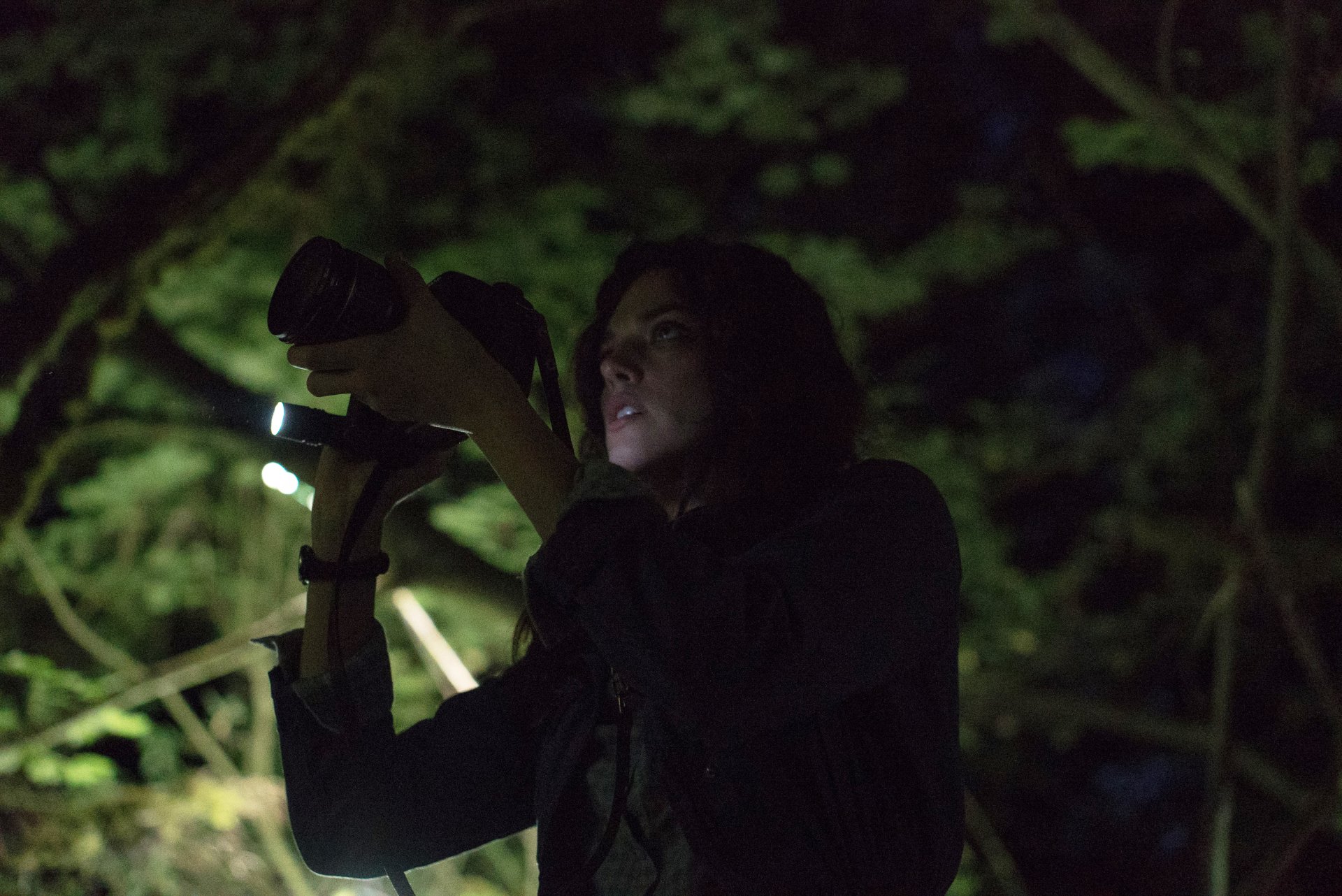 Download Movie Blair Witch 4k Ultra HD Wallpaper