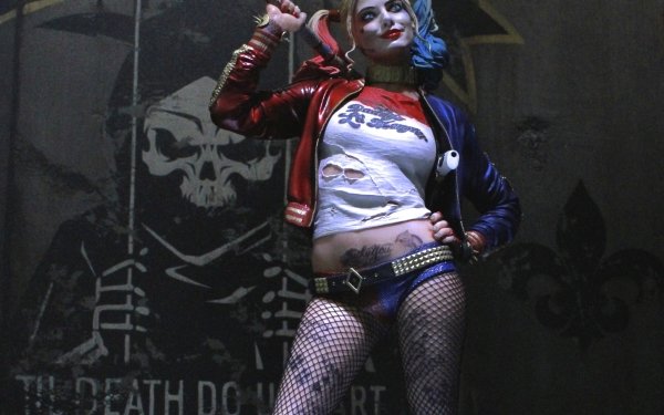 Bande-dessinées Harley Quinn DC Comics Jacket Twintails Blonde Arme Shorts Belt Tatouage Fishnet Collar Fond d'écran HD | Image
