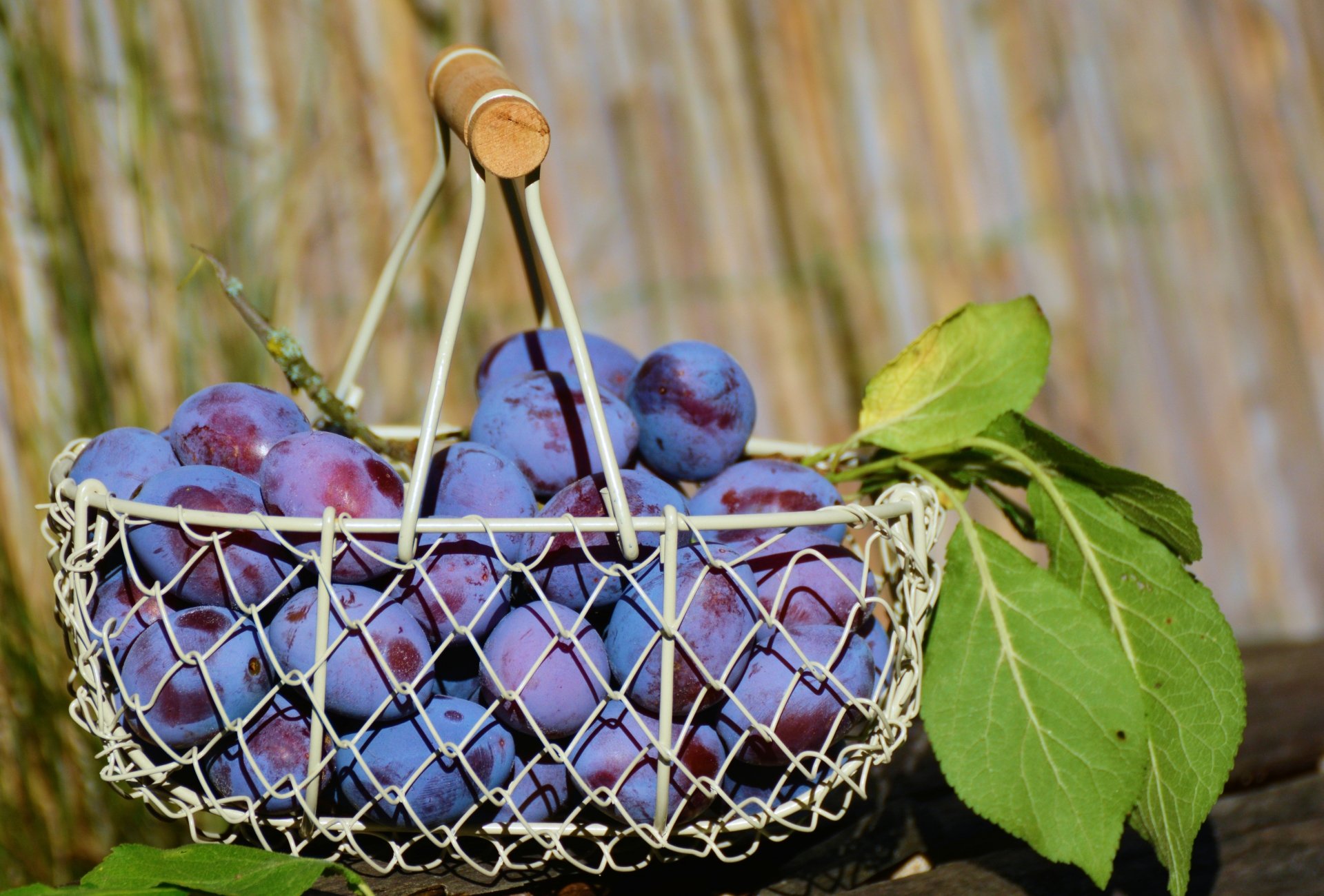 A close-up of ripe plums in a wire basket with green leaves, captured in vibrant detail for a 4K Ultra HD PC desktop wallpaper background.