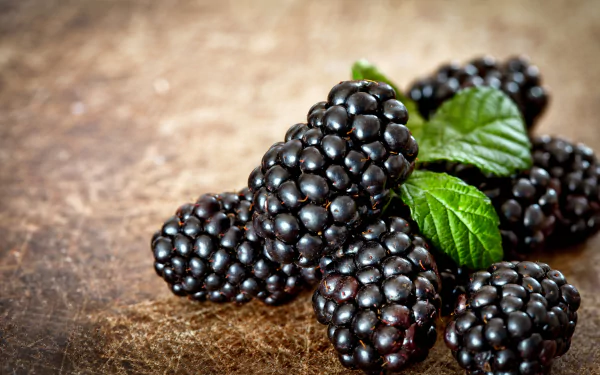 Close-up of ripe blackberries with fresh mint on rustic wood — fruit, berry, food; 4K Ultra HD PC desktop wallpaper background.