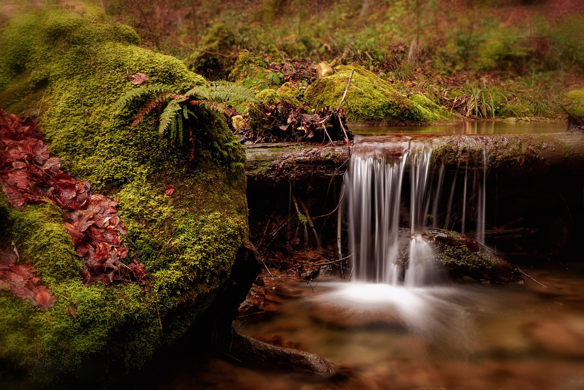 Download Nature Moss Stream HD Wallpaper