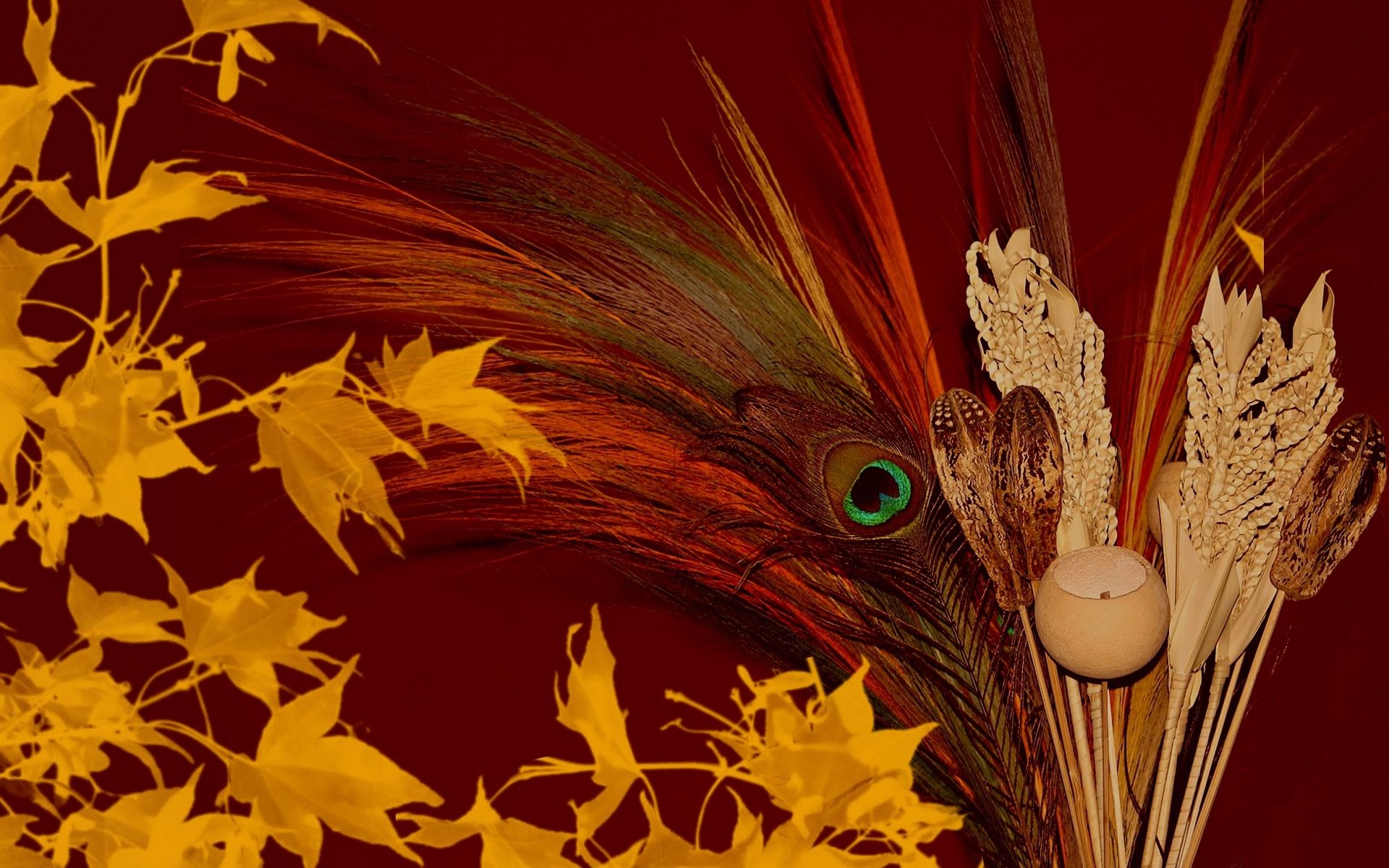 Download Feather Leaf Colors Artistic Fall HD Wallpaper