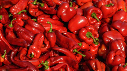 spices red food pepper HD Desktop Wallpaper | Background Image