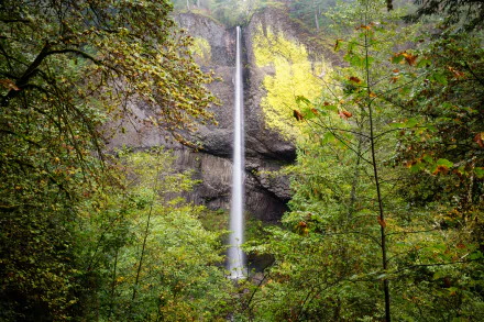  Latourell Falls, Oregon by Sunny Herzinger