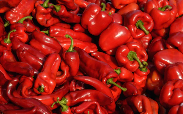 spices red food pepper HD Desktop Wallpaper | Background Image
