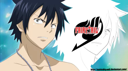 Gray Fullbuster Anime Fairy Tail HD Desktop Wallpaper | Background Image