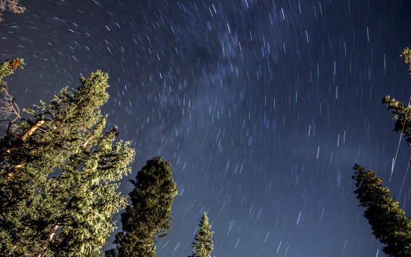 star starry sky sky nature star trail HD Desktop Wallpaper | Background Image