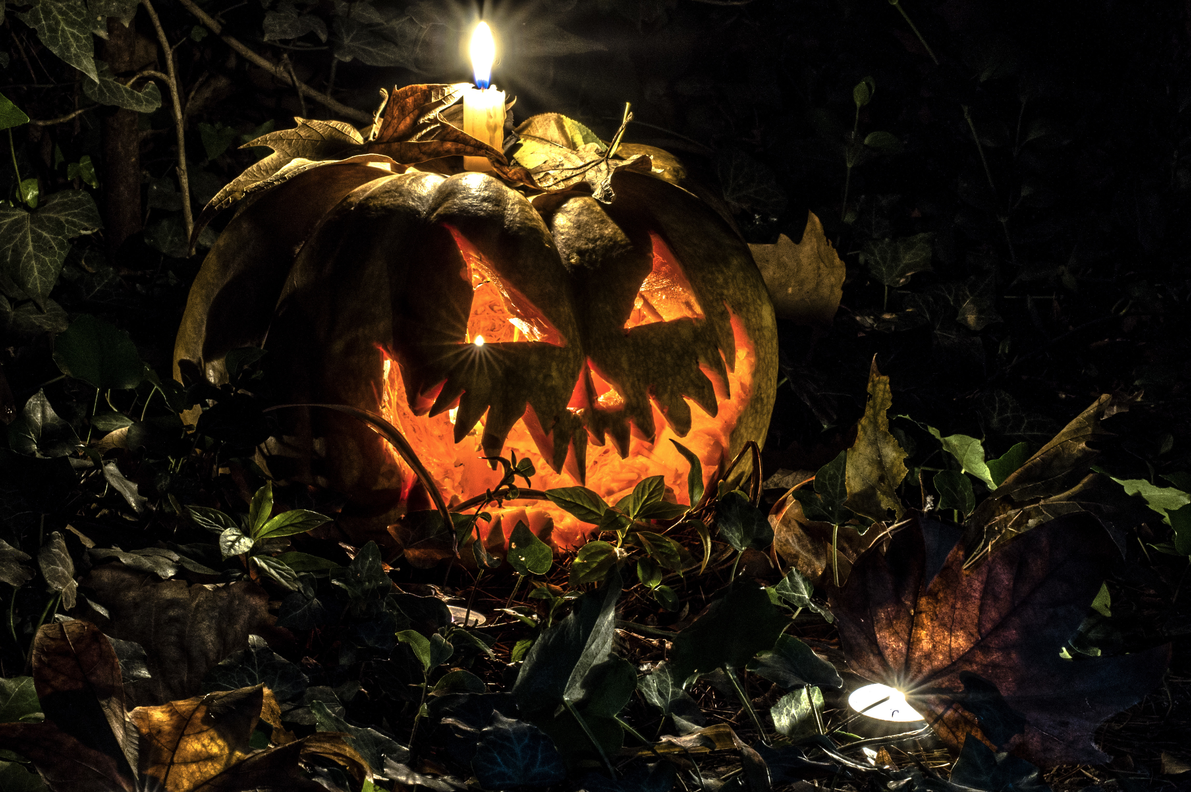 Hình nền Halloween 4K: Nâng cao trải nghiệm của bạn với những hình nền Halloween 4K đẹp mắt. Tận hưởng tất cả những chi tiết và màu sắc rực rỡ của những hình ảnh tuyệt đẹp này. Bạn sẽ tìm thấy một thế giới mới hoàn toàn khi nhìn vào màn hình của mình trong ngày Halloween này.