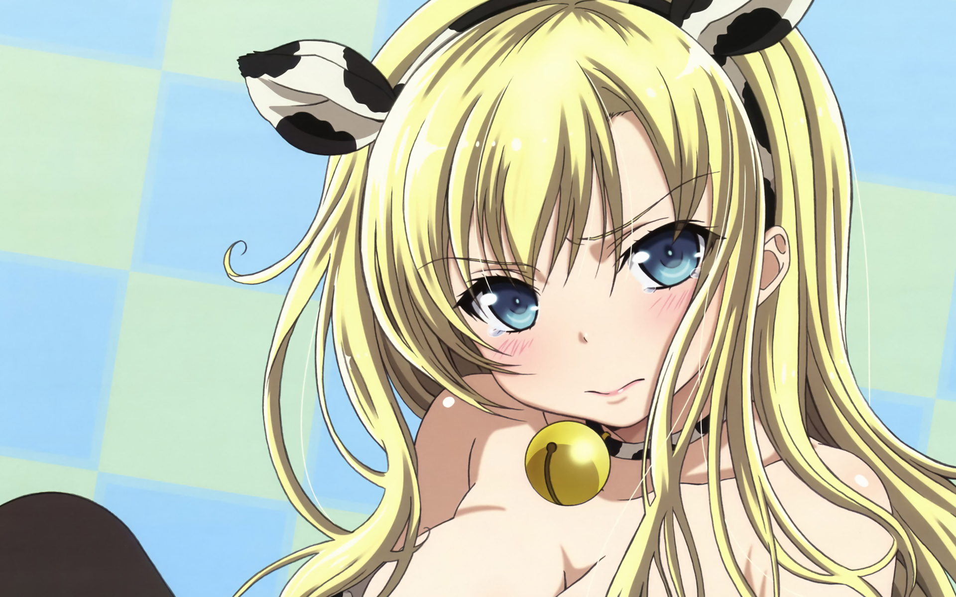 Download Sena Kashiwazaki Anime Boku Wa Tomodachi Ga Sukunai HD Wallpaper