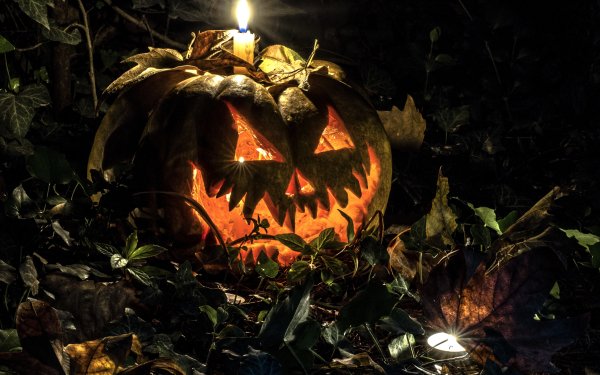 Holiday Halloween Jack-O'-Lantern Candle Flame Leaf HD Wallpaper | Background Image