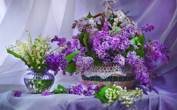 Photography Still Life Lilac Lily Of The Valley Vase Basket Purple Flower HD Wallpaper | Background Image