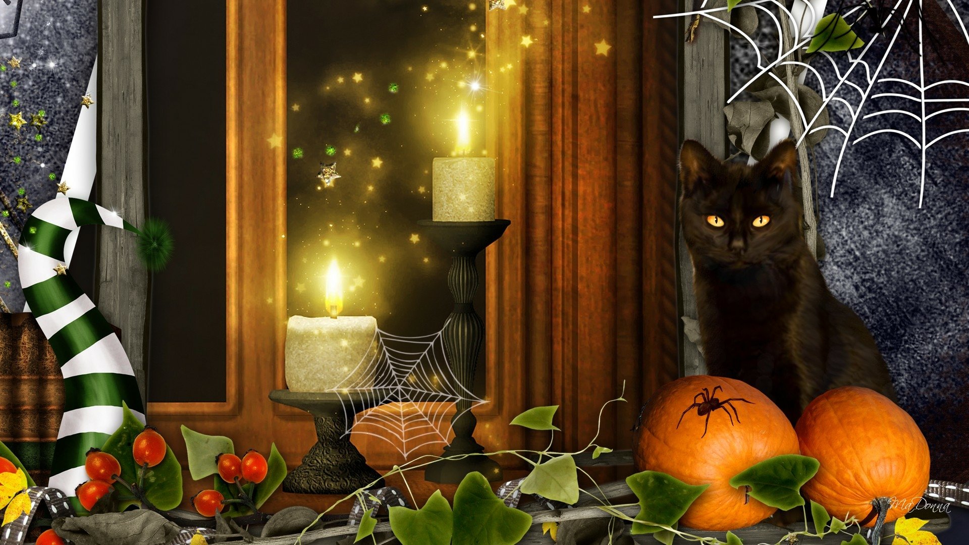 A whimsical Halloween collage featuring a black cat beside pumpkins, glowing candles, and spider webs, creating a festive and spooky atmosphere for a desktop wallpaper.