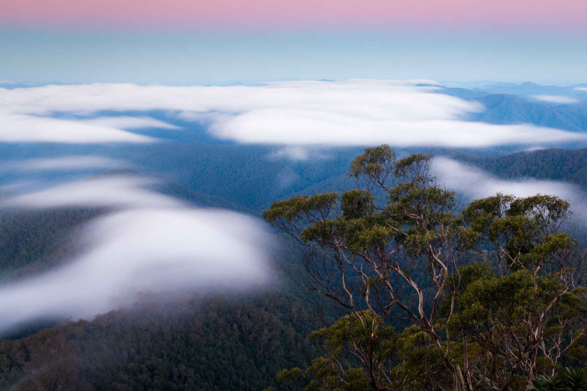 HD PC desktop wallpaper and background: nature landscape of a tree-covered ridge rising above rolling clouds toward a pastel horizon.