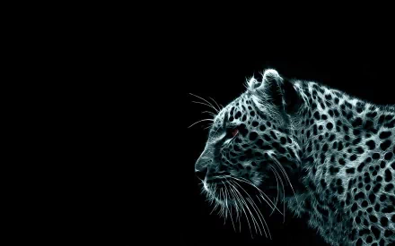 HD desktop wallpaper featuring a detailed profile of a leopard against a black background. The image highlights the beauty and intensity of the animal.