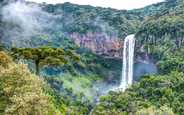 A breathtaking waterfall cascades through a lush rainforest valley, surrounded by vibrant greenery and mist, creating a stunning natural backdrop for an HD desktop wallpaper.