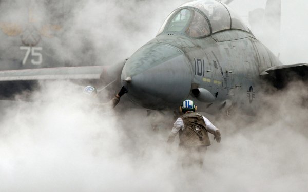 Military Grumman F-14 Tomcat Jet Fighters HD Wallpaper | Background Image