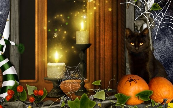 Holiday Halloween Collage Pumpkin Candle Cat Spider Web HD Wallpaper | Background Image