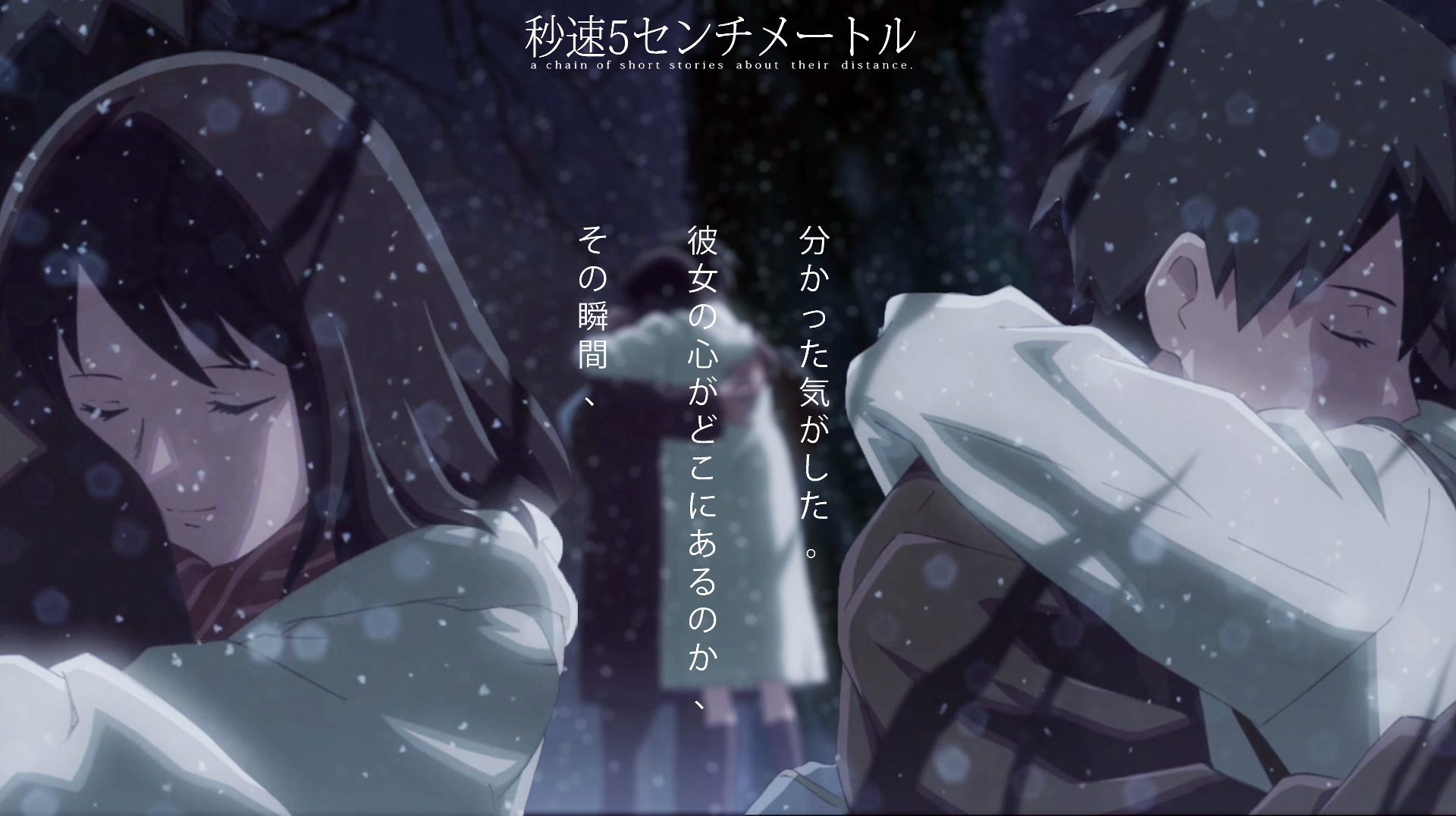5 Centimeters Per Second Wallpaper and Background Image ...