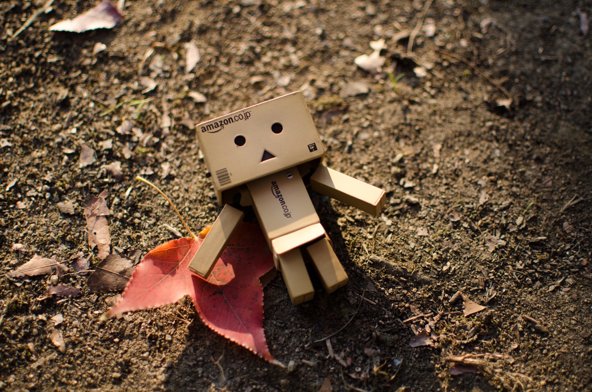 Danbo figure lying on earthy ground with scattered leaves in 4K Ultra HD detail, designed as a captivating PC desktop wallpaper in the Misc category.