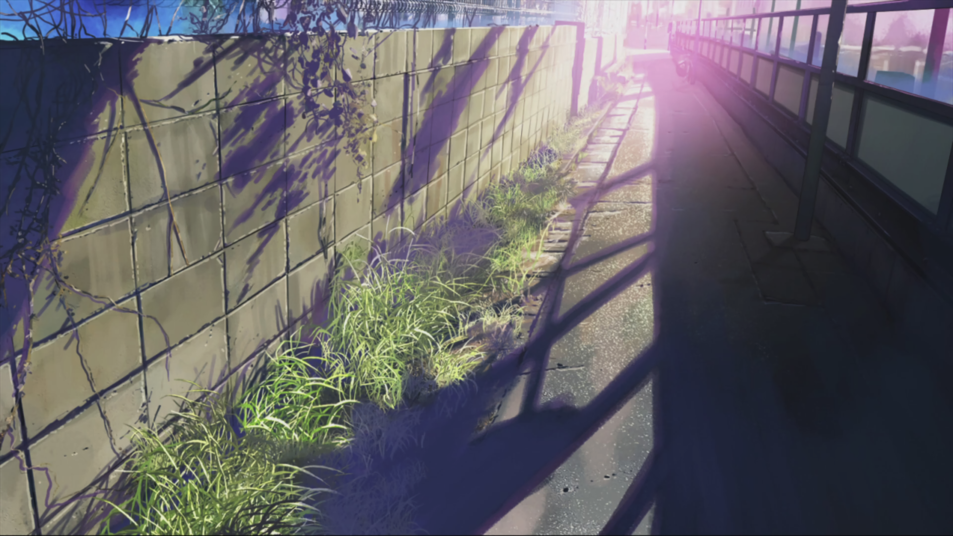 5 Centimeters Per Second HD Wallpaper | Background Image | 1920x1080 | ID:741912 - Wallpaper Abyss