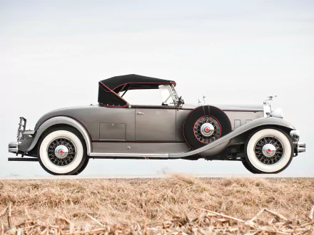  1931 Packard Deluxe Eight Roadster