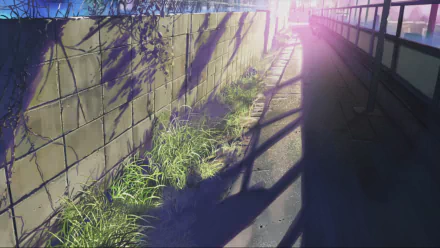A serene HD wallpaper inspired by the anime 5 Centimeters per Second, featuring a tranquil path bordered by grass and shadows, capturing a moment of beauty and nostalgia.