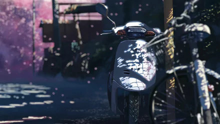 Anime-inspired HD wallpaper featuring a scooter and a bicycle, set against a backdrop of blurred cherry blossoms, capturing the essence of *5 Centimeters per Second*.