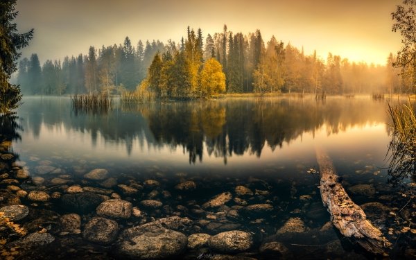 Nature River Reflection Forest Tree Fog HD Wallpaper | Background Image