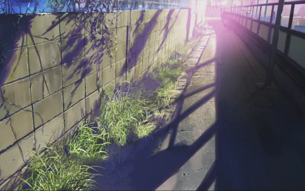 Anime 5 Centimeters per Second HD Desktop Wallpaper | Background Image