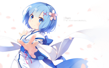 1630 Rem Re Zero Hd Wallpapers Background Images Wallpaper Abyss