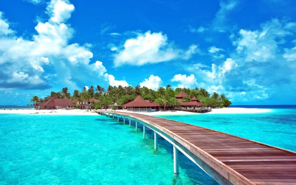 Man Made Pier Island Caribbean Columbia Tropical Bungalow Palm Tree Turquoise Resort Tropics Cabin HD Wallpaper | Background Image